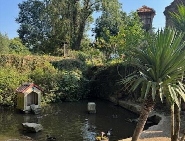 Lago Junto a Quinta da Murtosa